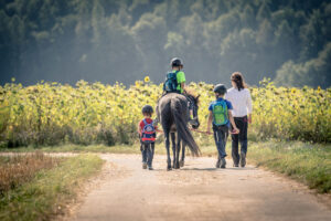 Wandern und Reiten - Erlebnis Islandpferd