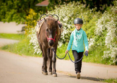 Heilpädagogische Förderung mit dem Pferd - Erlebnis Islandpferd