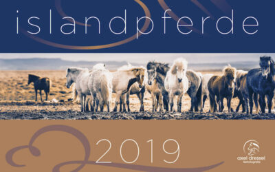 Islandpferde-Kalender 2019