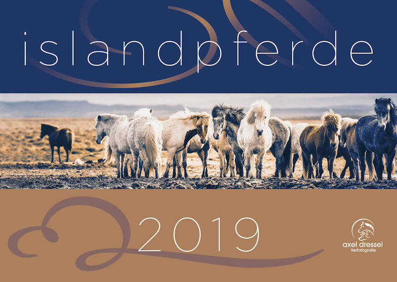 Islandpferde-Kalender 2019