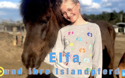 Elfa und ihre Islandpferde – im KIKA