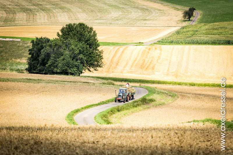 Eine Fuhre Heu für den Gnadenhof - Erlebnis Islandpferd | Margit Arnold