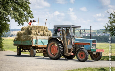 Eine Fuhre Heu für den Gnadenhof
