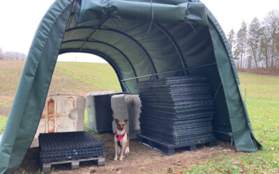 Episode V: Paddockmatten Teil 2