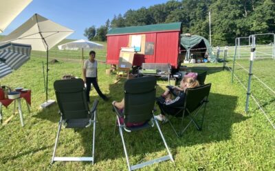 Workshop Führtraining