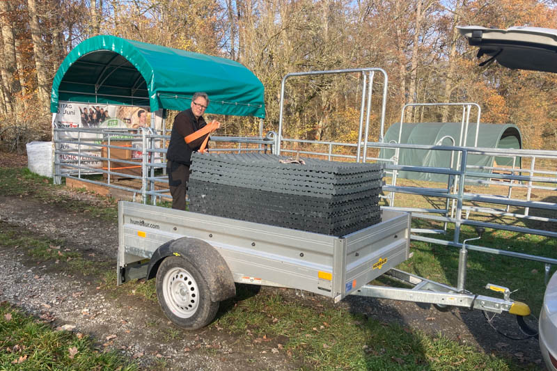 Der Paddock wird optimiert - Erlebnis Islandpferd | Margit Arnold