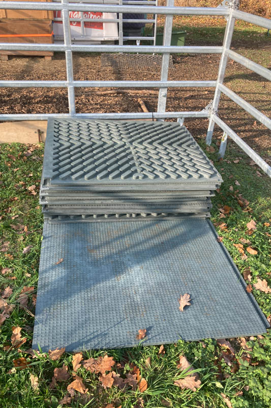 Der Paddock wird optimiert - Erlebnis Islandpferd | Margit Arnold