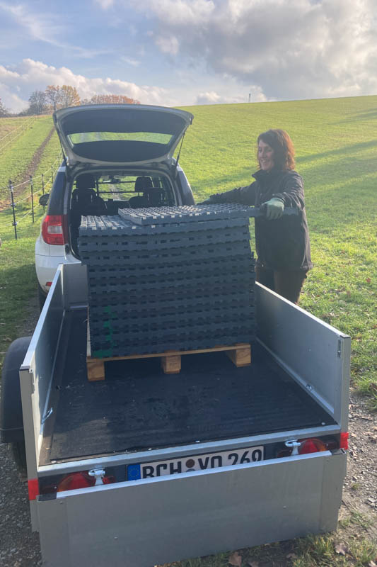 Der Paddock wird optimiert - Erlebnis Islandpferd | Margit Arnold