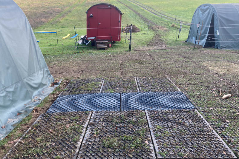 Der Paddock wird optimiert - Erlebnis Islandpferd | Margit Arnold