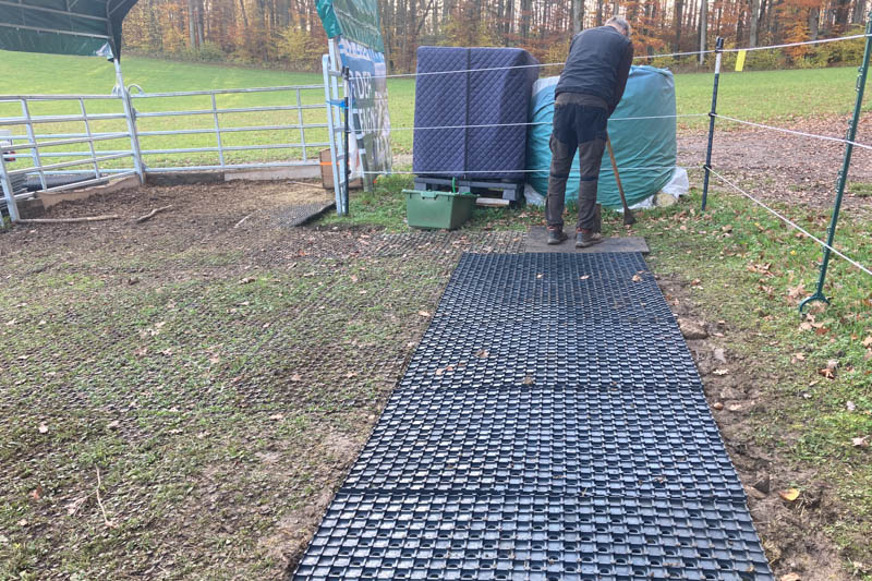 Der Paddock wird optimiert - Erlebnis Islandpferd | Margit Arnold