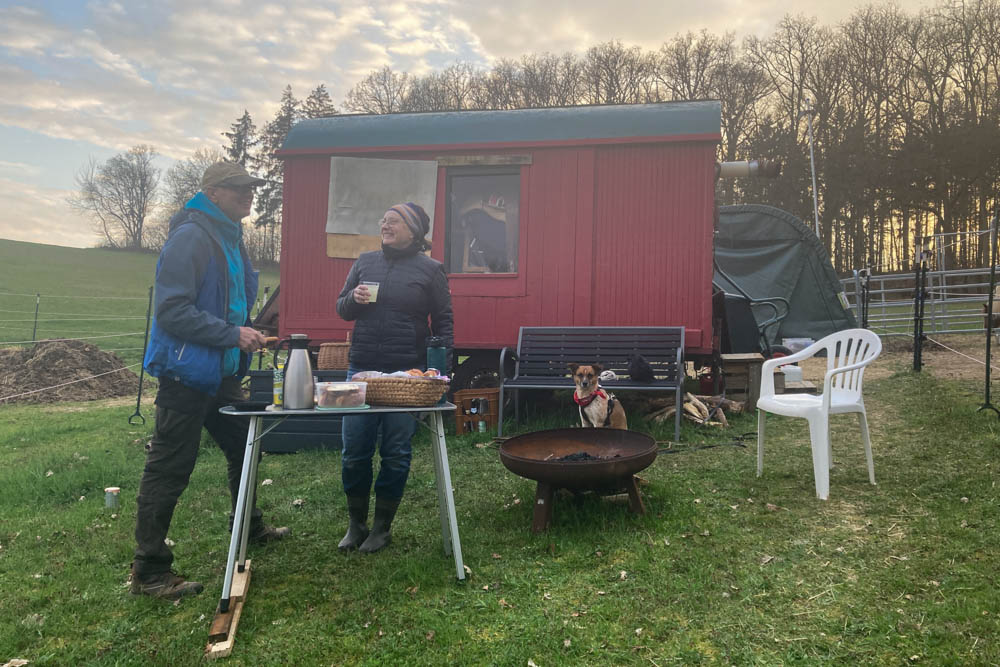 KoppelCleaning und Paddockplatten - Erlebnis Islandpferd | Margit Arnold