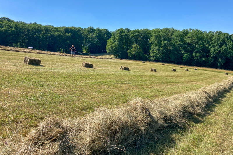 Sommerrückblick - Heuernte im Juni, Erlebnis Islandpferd Margit Arnold