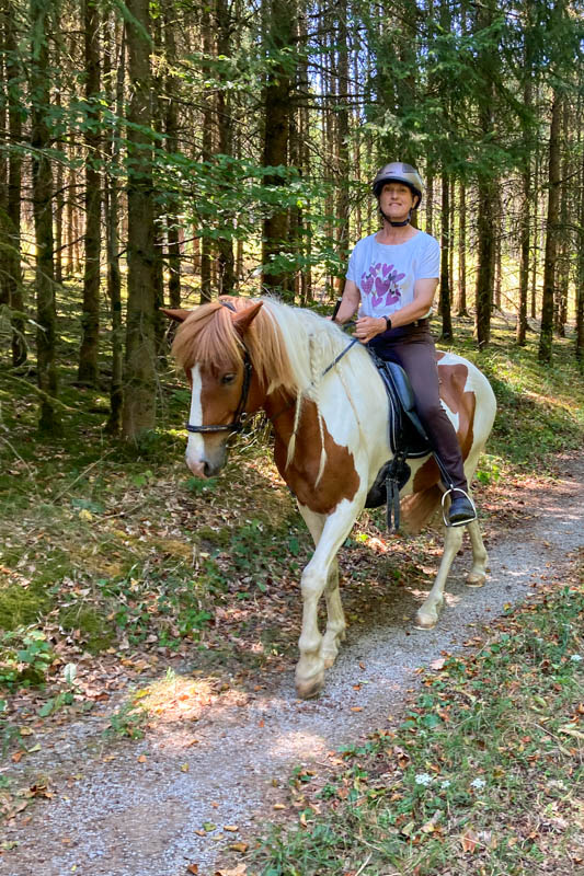 Sommerrückblick - Ausritt im August, Erlebnis Islandpferd Margit Arnold